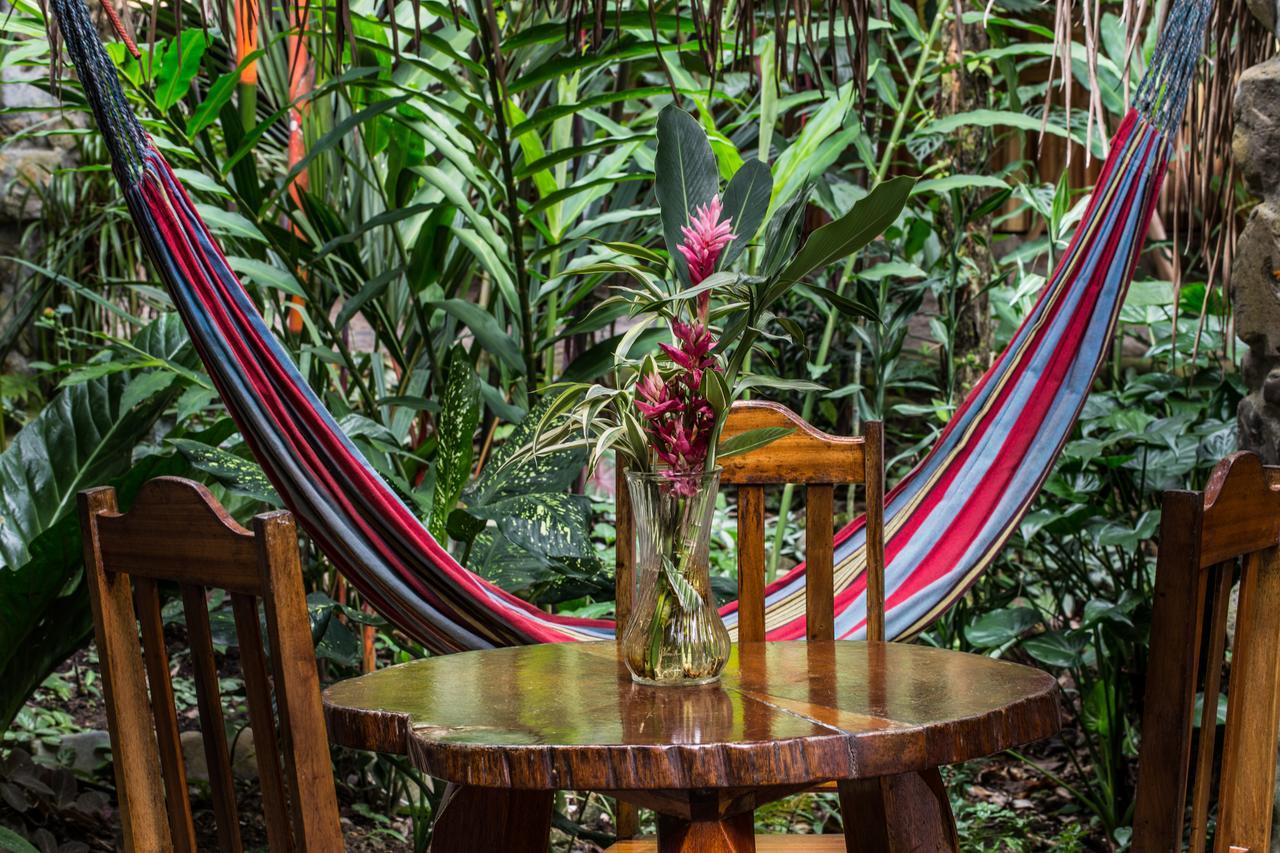 Omega Tours Eco-Jungle Lodge 라 세이바 외부 사진