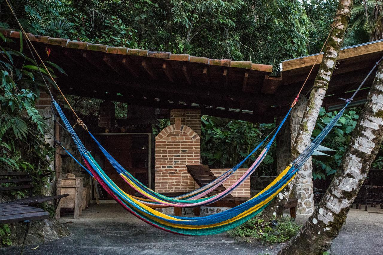 Omega Tours Eco-Jungle Lodge 라 세이바 외부 사진