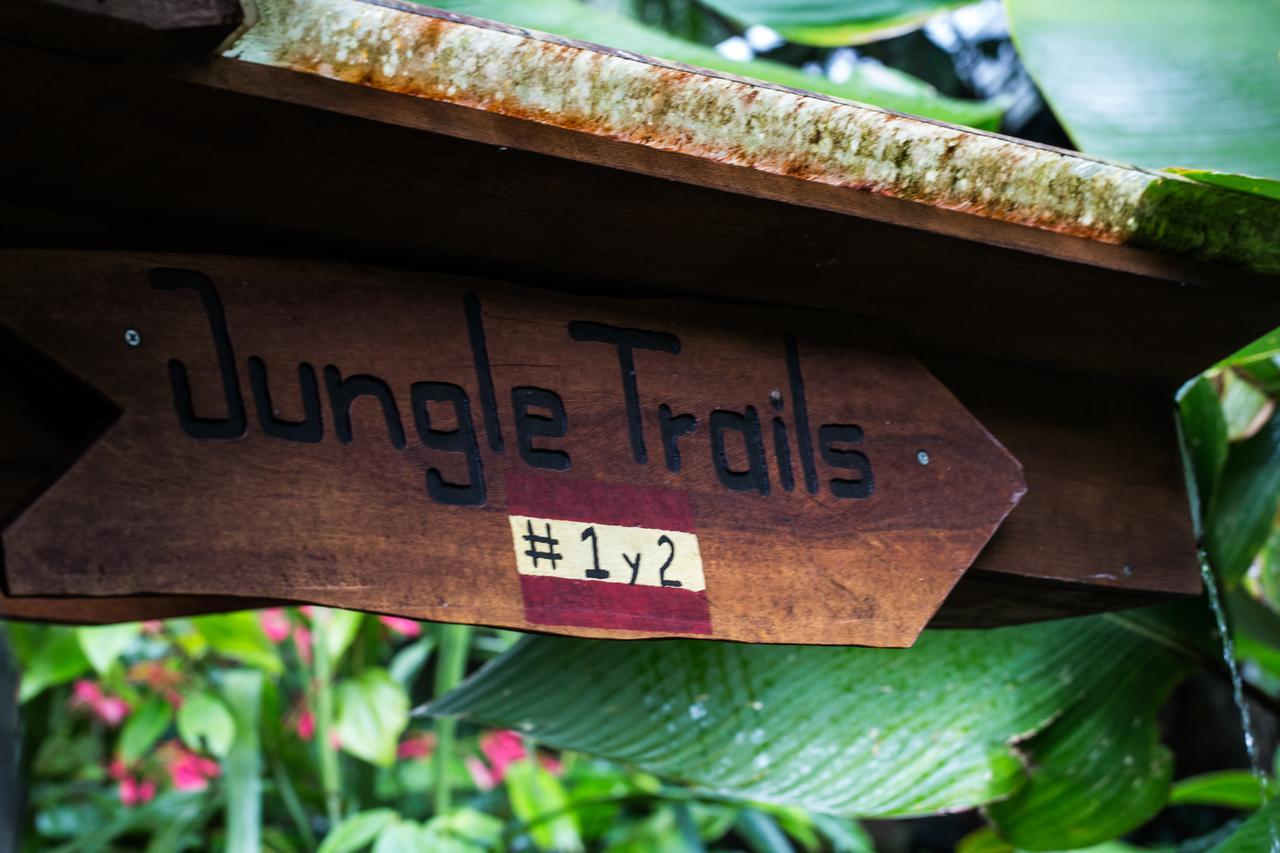 Omega Tours Eco-Jungle Lodge 라 세이바 외부 사진