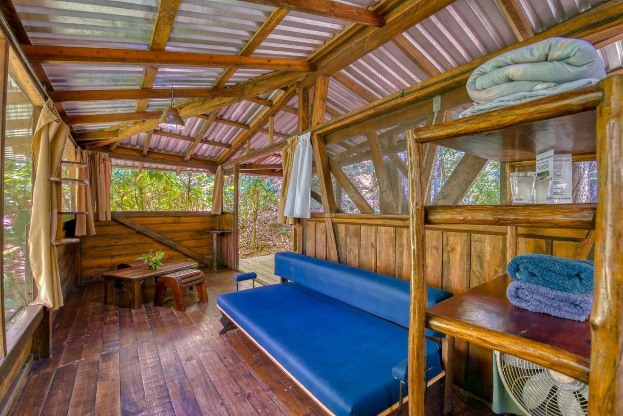 Omega Tours Eco-Jungle Lodge 라 세이바 외부 사진